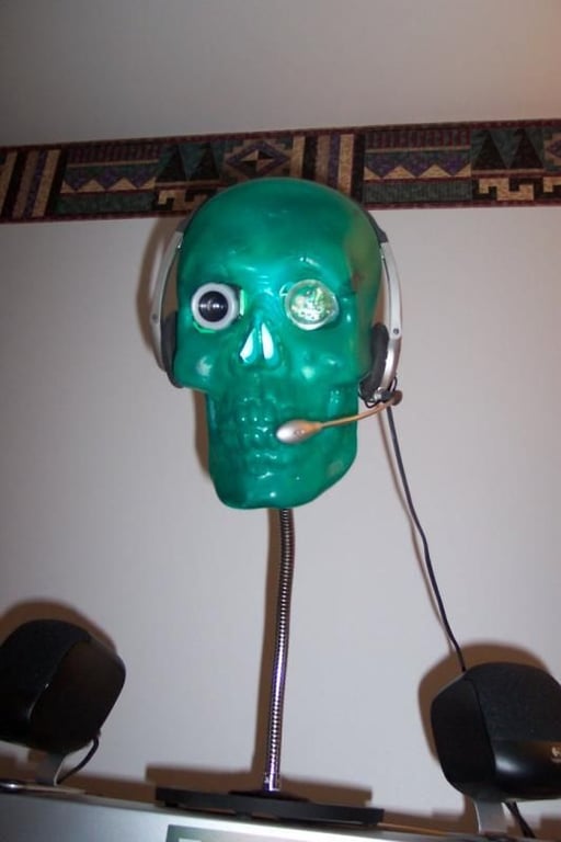 Skull Webcam