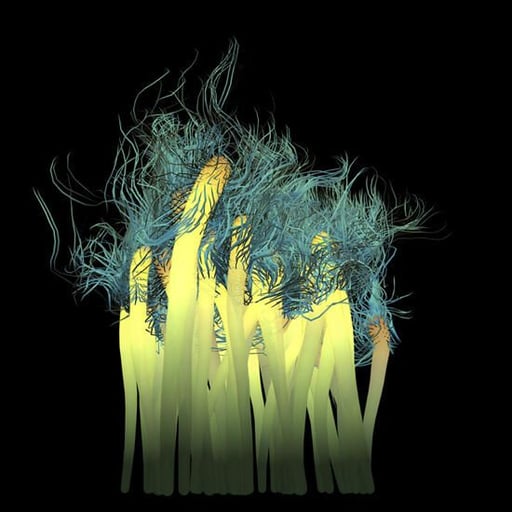 Images: Turning spam into art