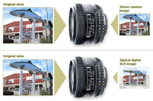 Image: Digital difference