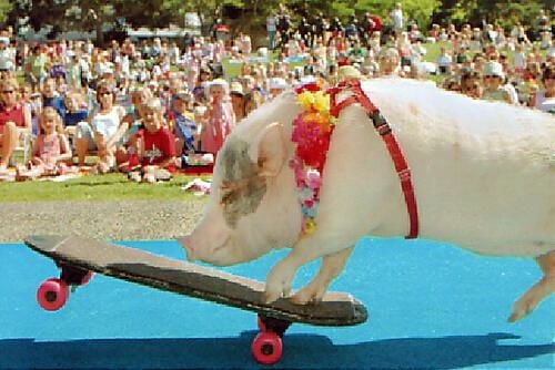 This little piggy went to Microsoft