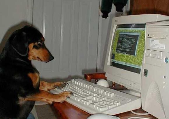 PC pets
