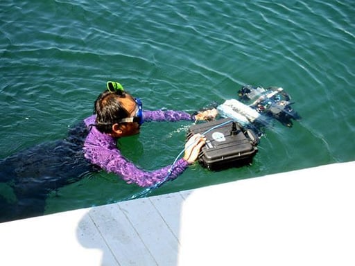 Photos: Robot submarines make waves