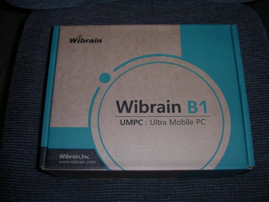 wibrainb11.jpg
