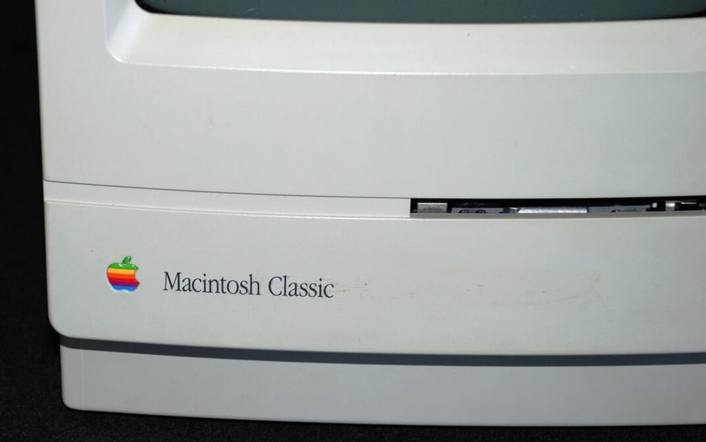 DSC_0001.jpg