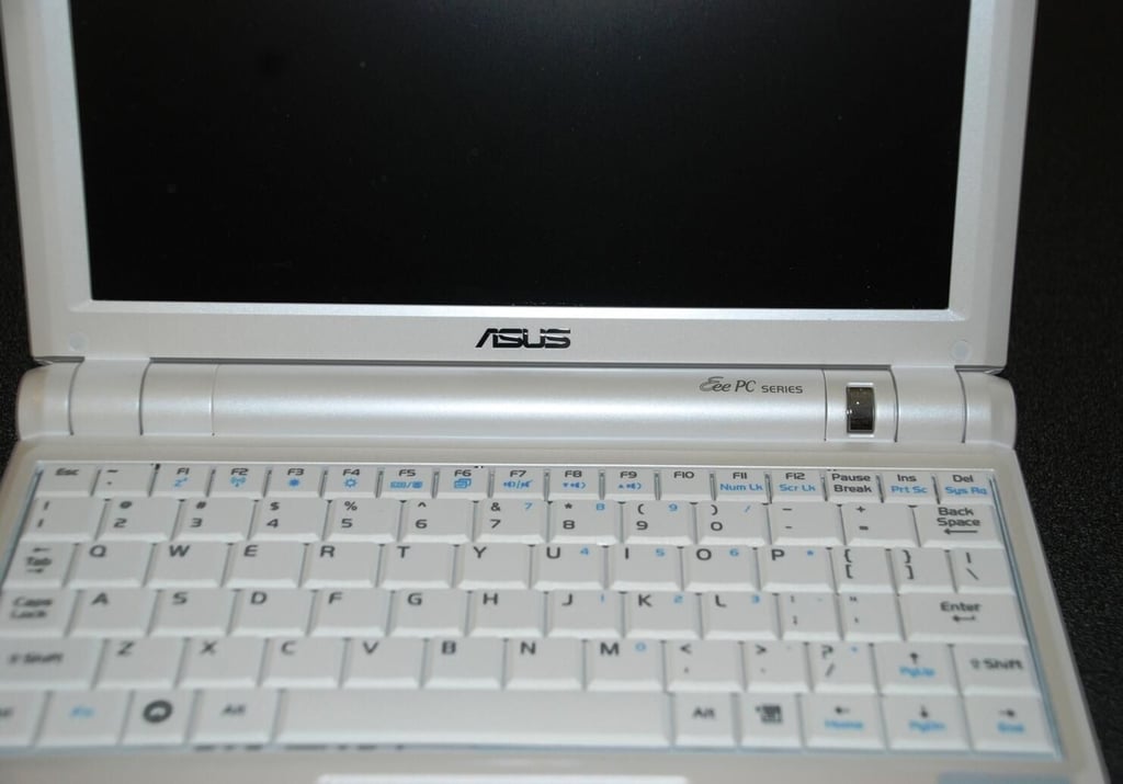 100ASUS_eee.jpg