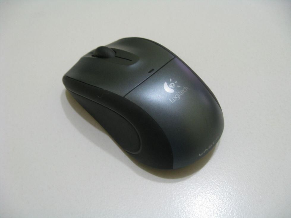 312995.jpg