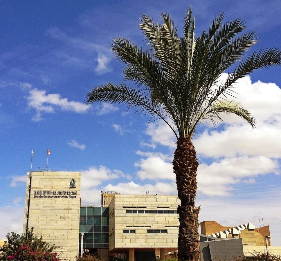 16-bgu-palm.jpg