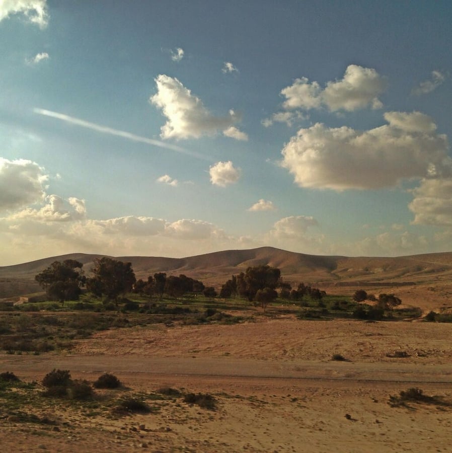 36-negev-roadside.jpg