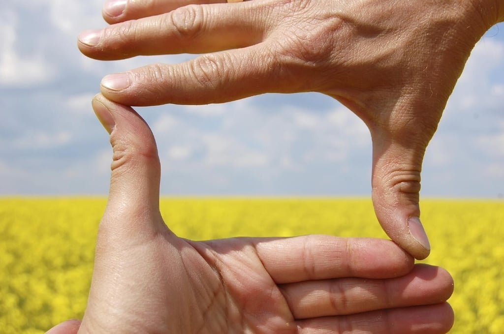 1_frame_hands.jpg