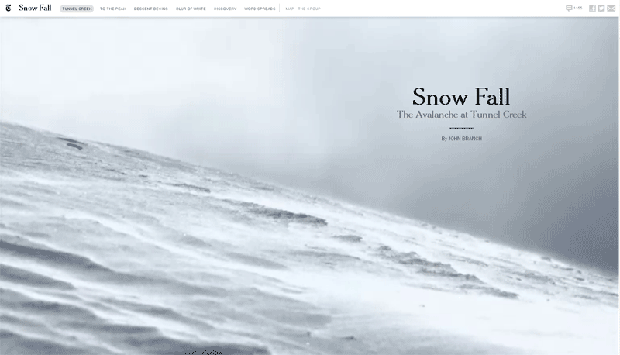 BestWebDesignsFigI_121913.gif