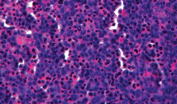 01-bioprinting.jpg