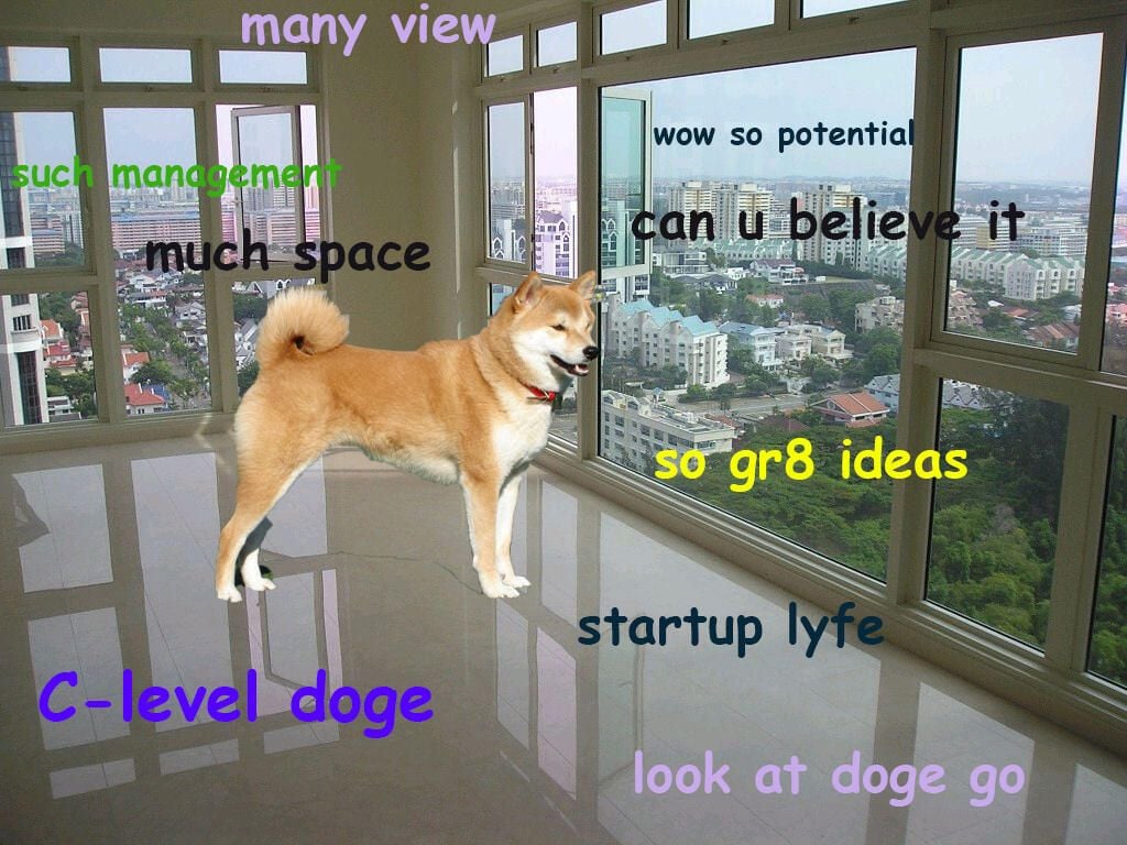 c-leveldoge.jpg