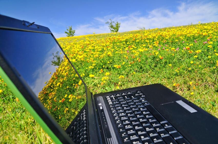 10 things you need to know about using Word fields