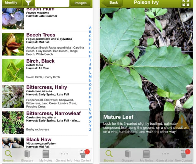 screen-shot-2014-05-21-at-1-39-25-pm.png