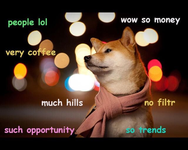 sfdoge.jpg