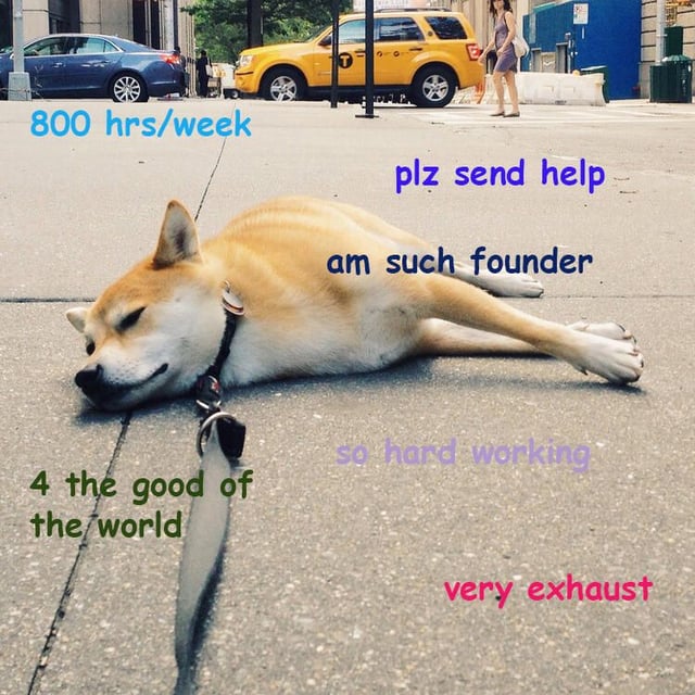 workingdoge-copy.jpg
