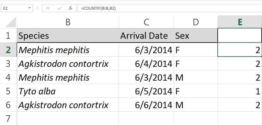 How to count duplicates and unique values in Excel