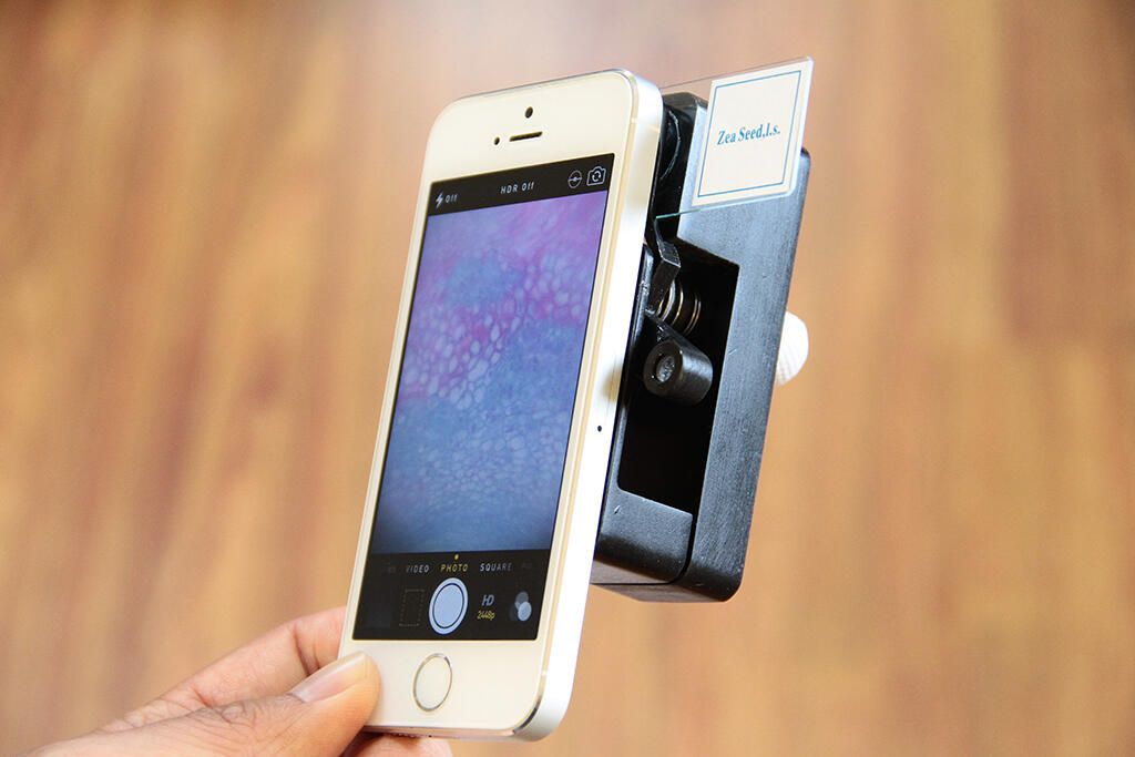 compatibility-iphone-5s.jpg
