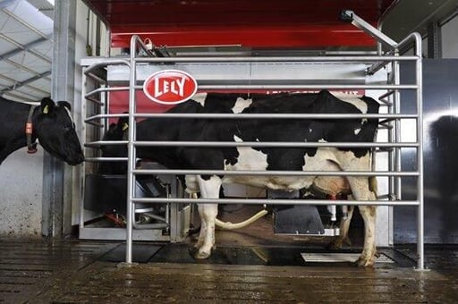 cowrobot.jpg