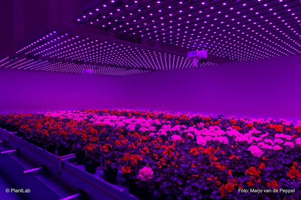 plantlab.jpg