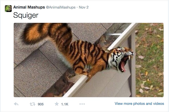 Your social media levity for the dark days of winter