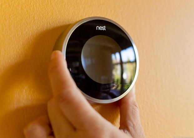 nest.jpg
