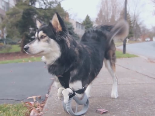10 incredible prosthetics made with 3D printers