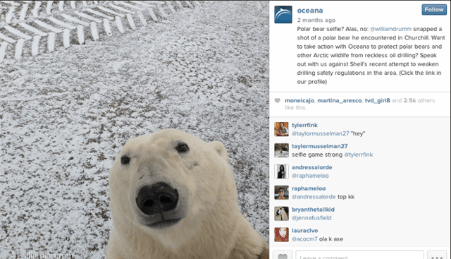 10 brands to follow on Instagram