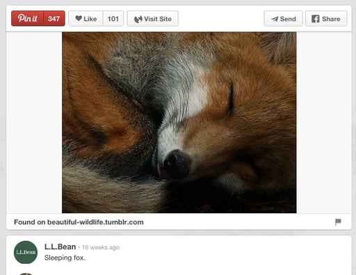 llbean.png