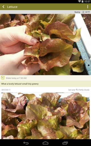 screen-shot-2015-04-21-at-9-44-44-am.png