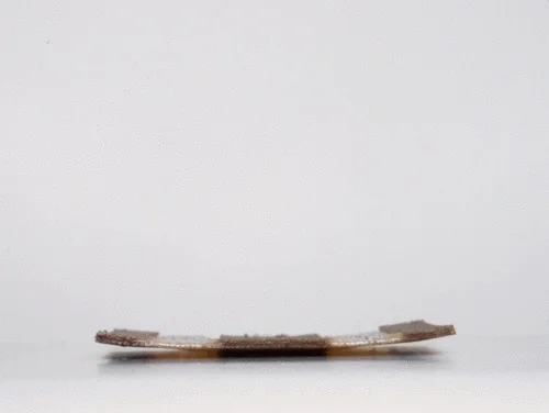4dprinting-wood.gif