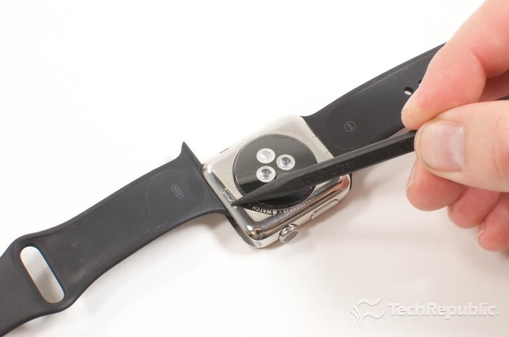 applewatchteardown08.jpg