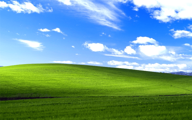 Video: 52% of businesses still have at least one Windows XP machine