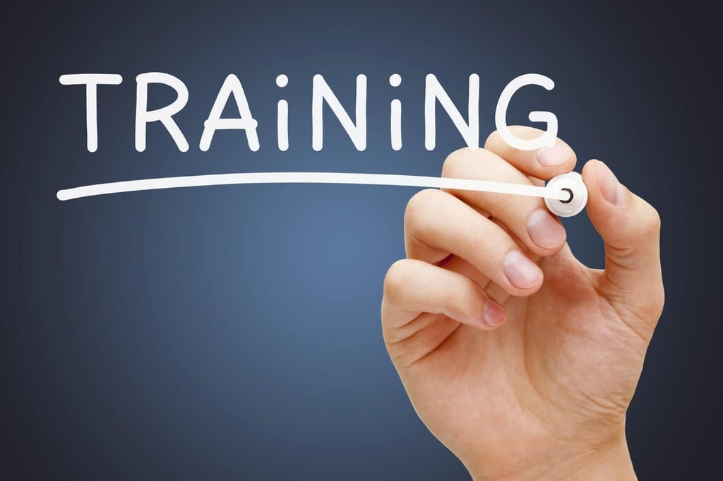 The top 20 IT training companies