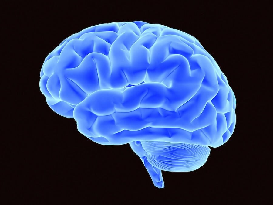 42-61920279.jpg