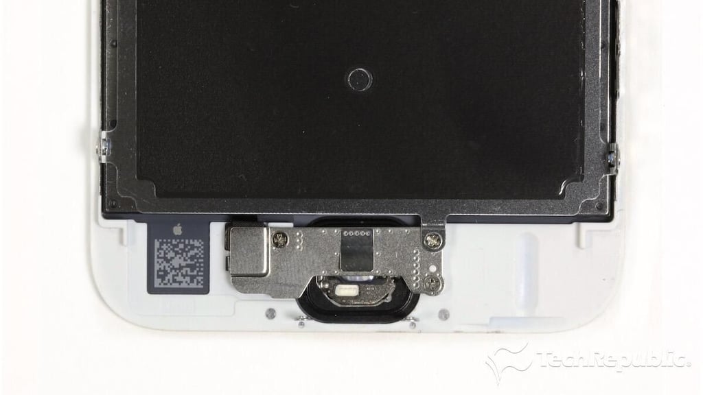 appleiphone6steardown021.jpg