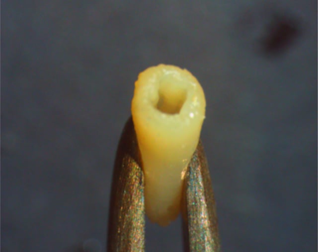 cyfusebioprinter2.png