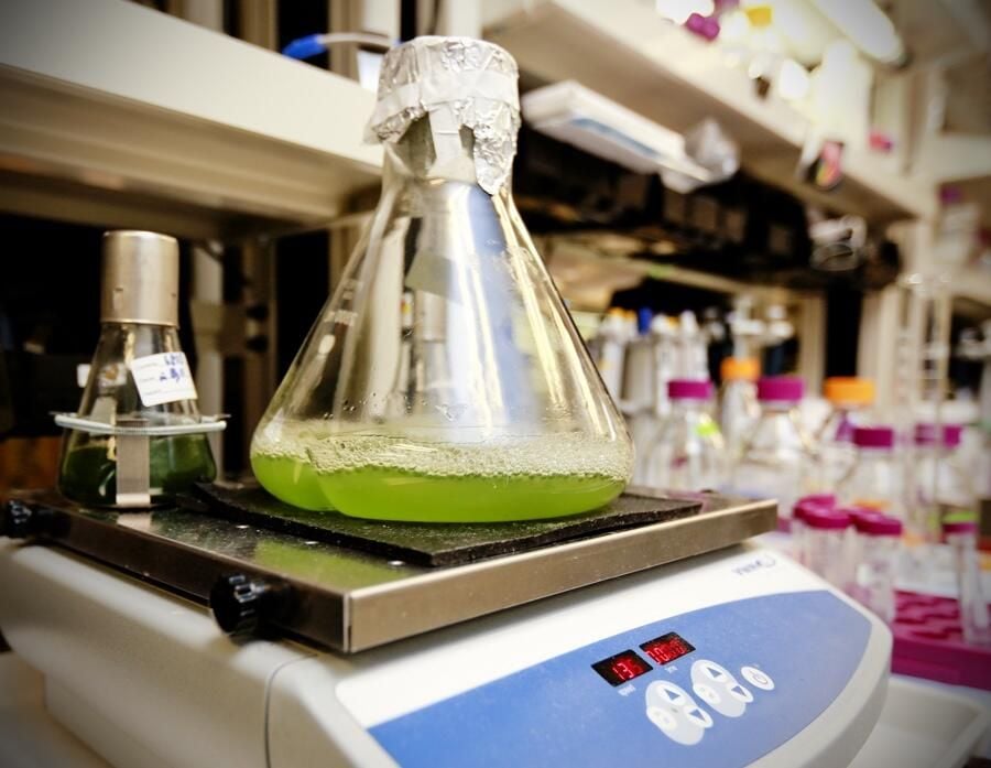 Photos: How ORNL turns leaves into biofuel