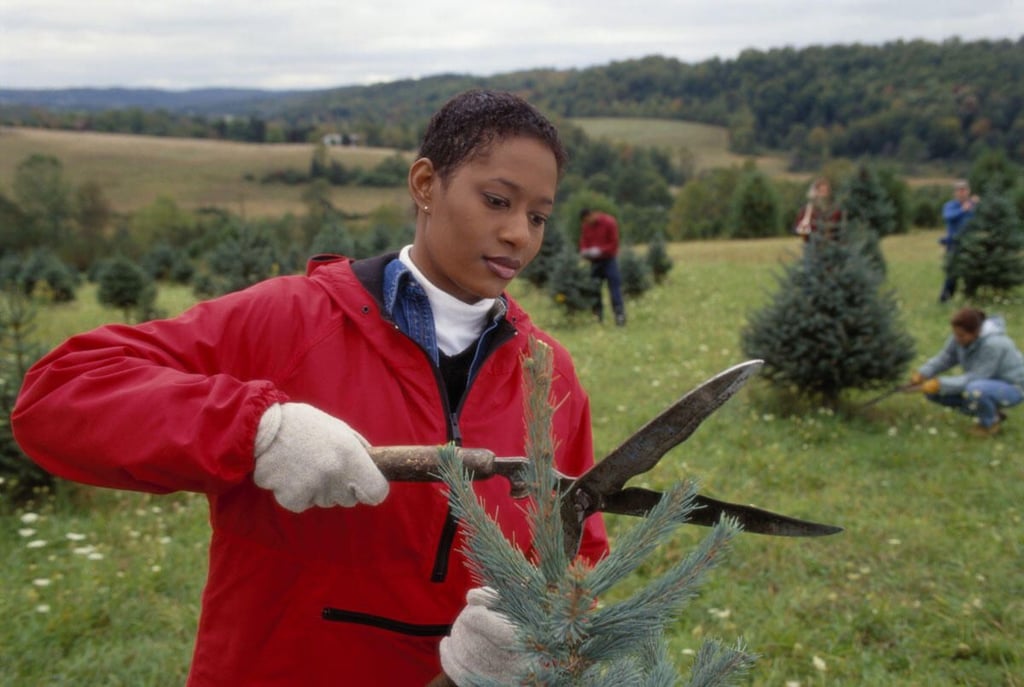 zdnet-robot-safe-jobs-forester.jpg
