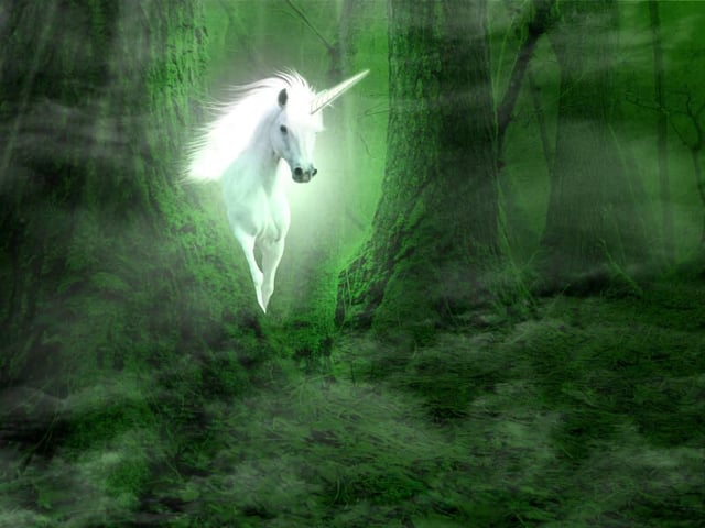15 signs you’re working for the next unicorn company