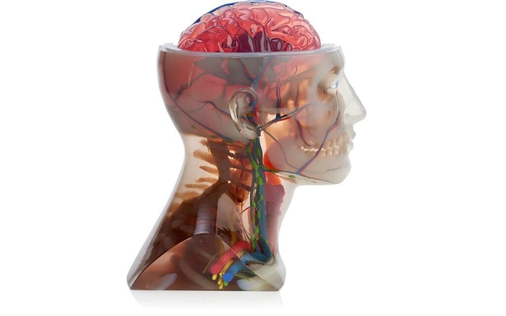 Photos: New Stratasys 3D printer can make 360,000 colors on 6 materials