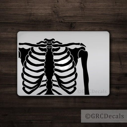34ribcage.jpg