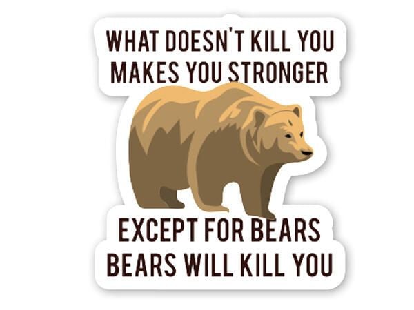 46bearskillyou.jpg