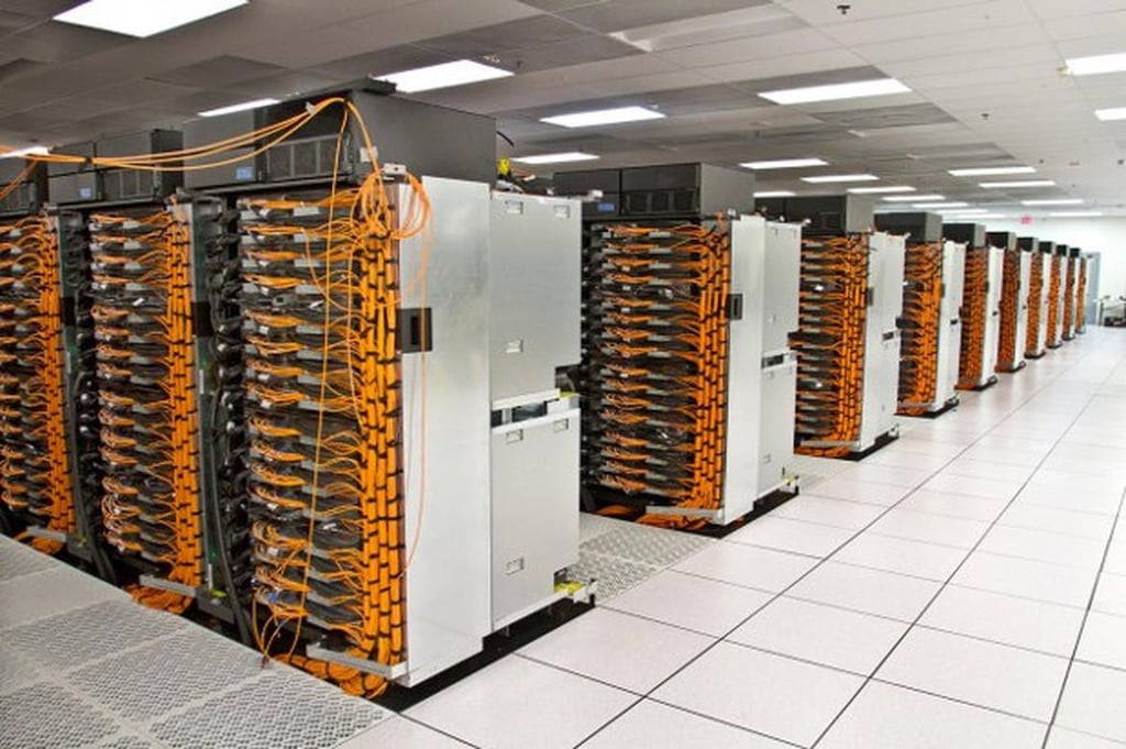 sequoia-1.jpg