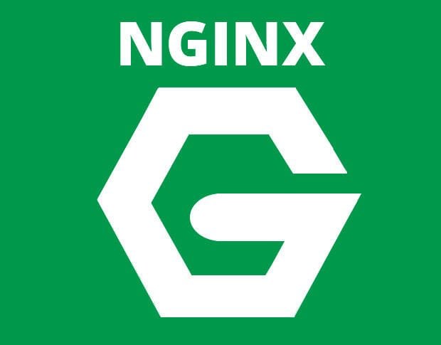 How to limit file upload size on NGINX to mitigate DoS attacks
