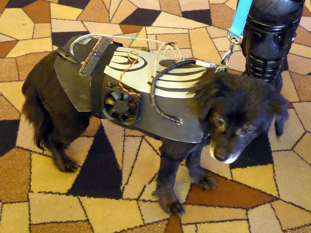 stcostume9.jpg
