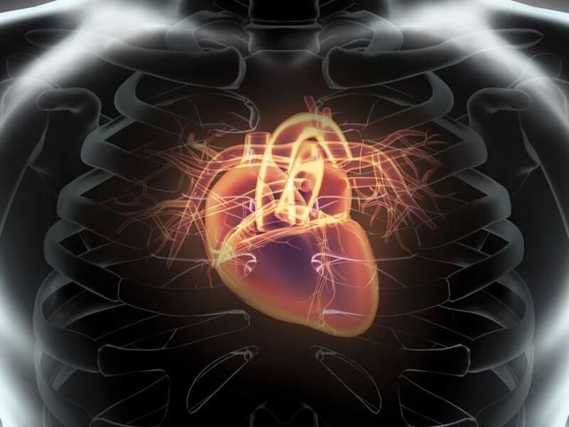 Hackable heart implants: St. Jude comes under fire for security risks