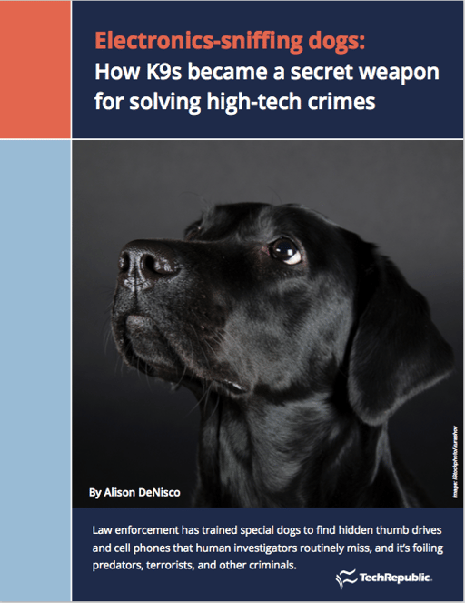 Electronics-sniffing dogs: How K9s became a secret weapon for solving high-tech crimes