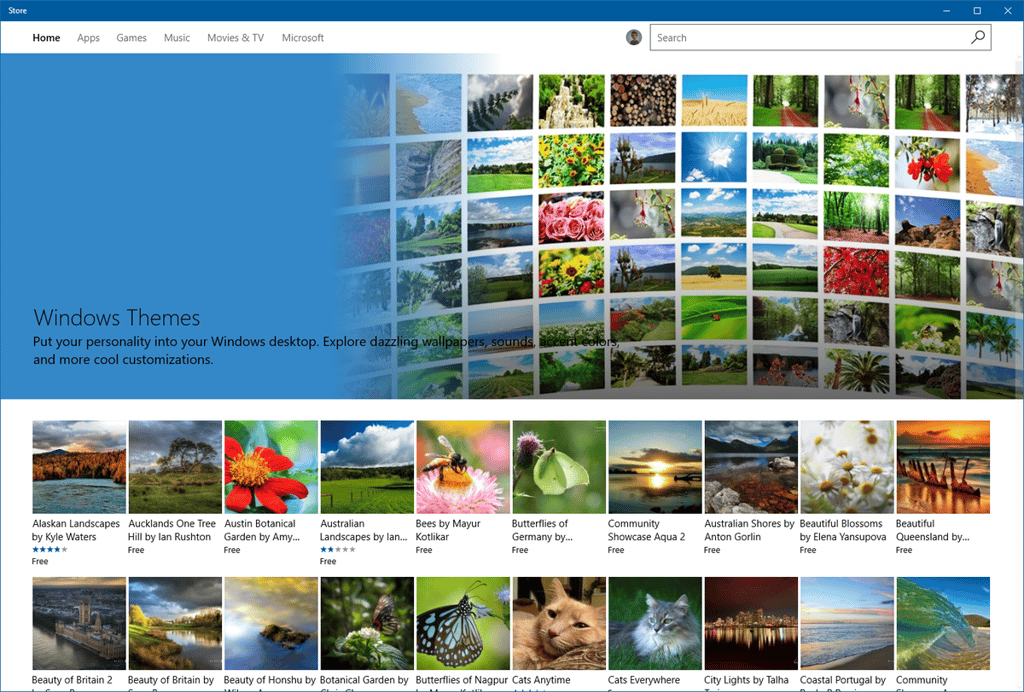 store-themes.png