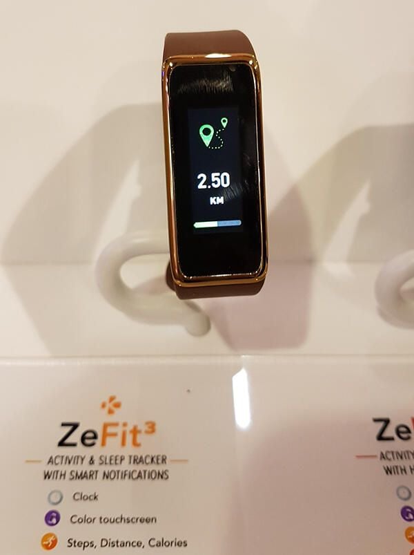 zefit.jpg